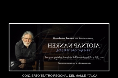 Hernán-Pantoja-Músico_page-0020
